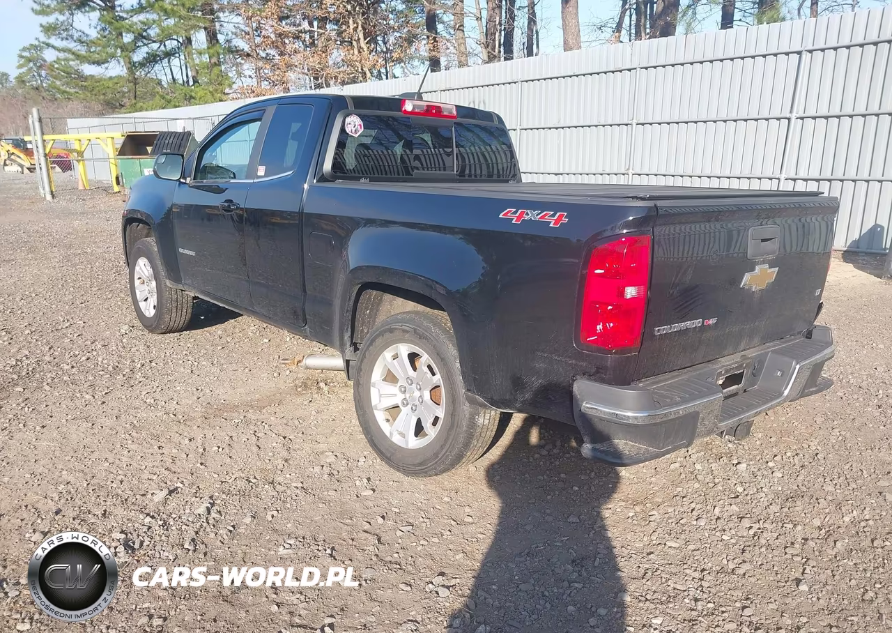 2019 Chevrolet Colorado Lt VIN:1GCHTCEN6K1312207 - 3