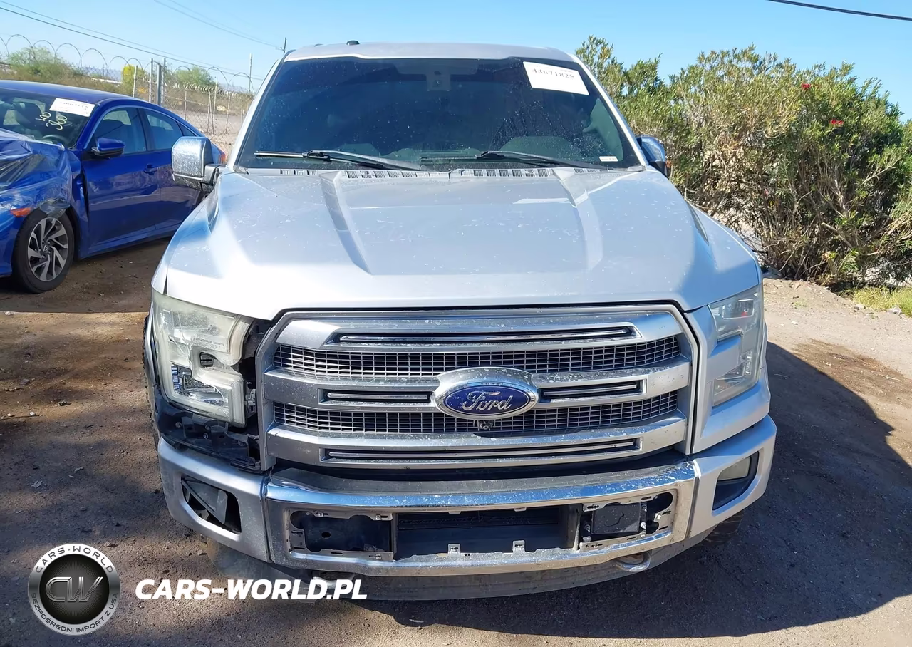 2015 Ford F-150 Platinum VIN:1FTEW1EG3FFC76386 - 12