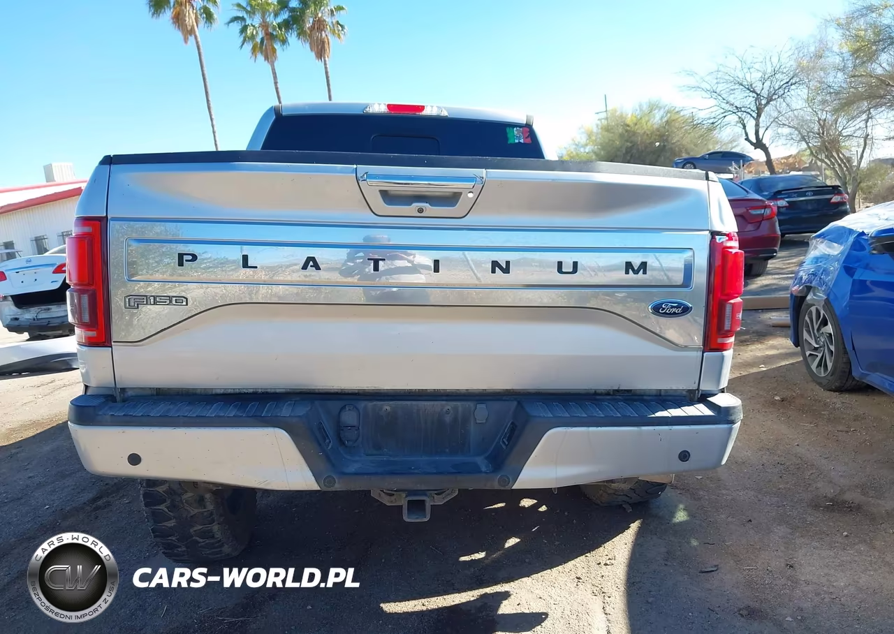 2015 Ford F-150 Platinum VIN:1FTEW1EG3FFC76386 - 16