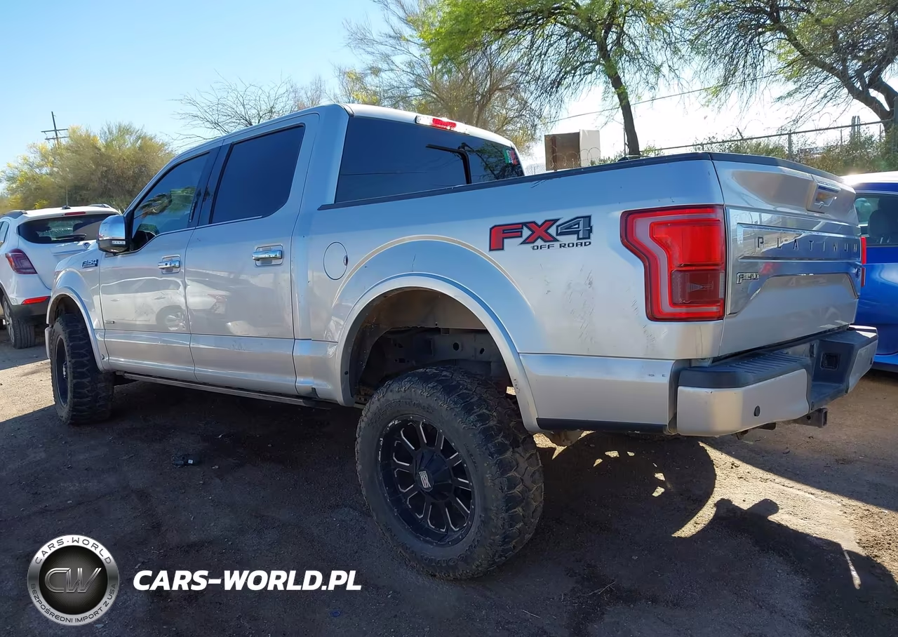 2015 Ford F-150 Platinum VIN:1FTEW1EG3FFC76386 - 3