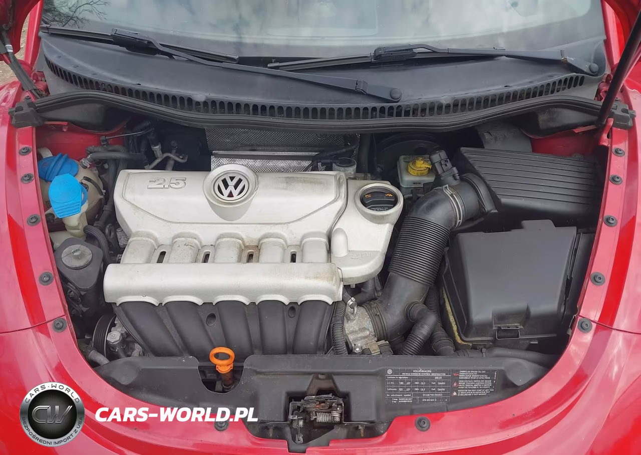 2010 Volkswagen New Beetle 2.5L VIN:3VWRG3AL8AM010364 - 10
