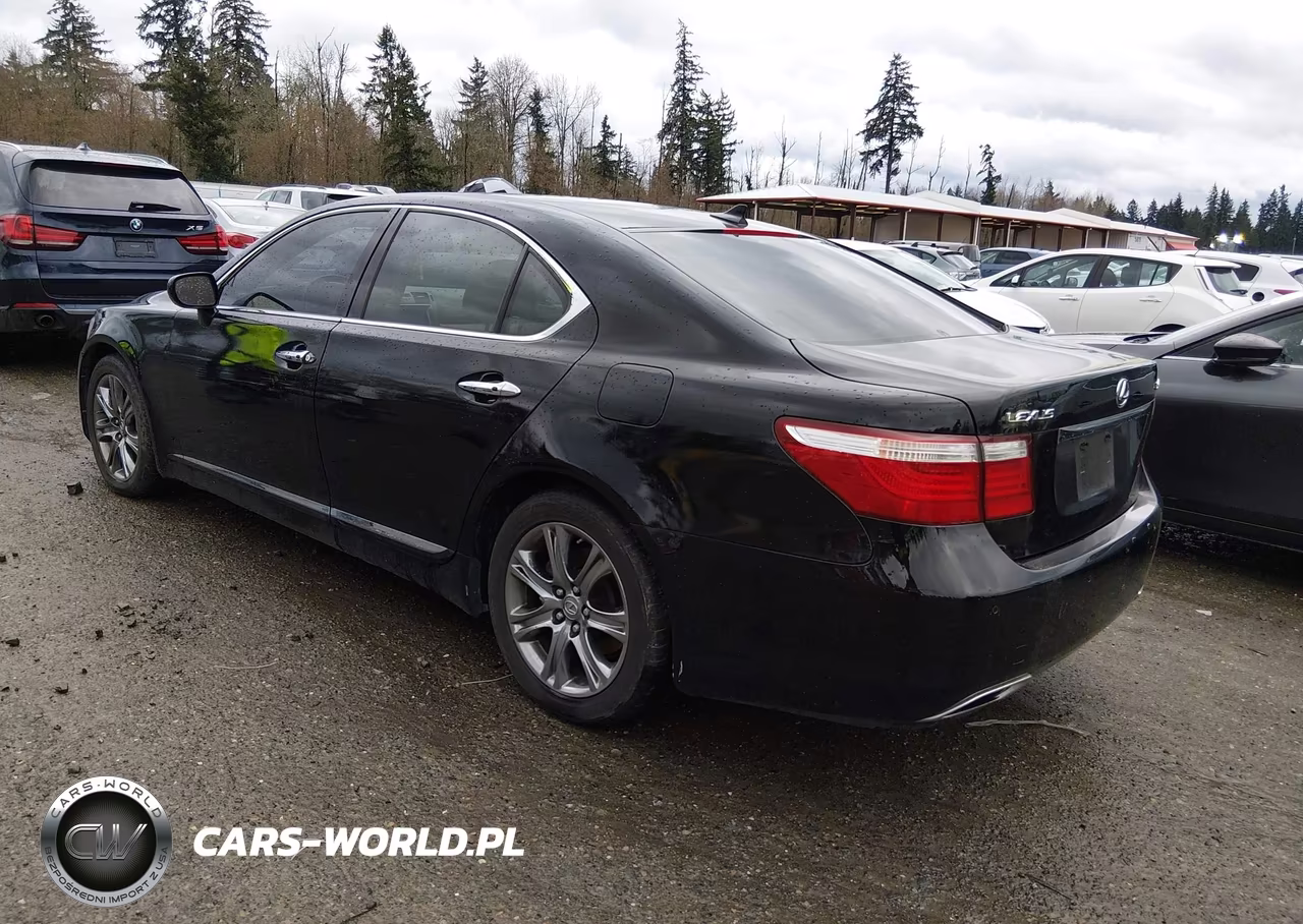 2009 Lexus Ls 460 VIN:JTHBL46F895086689 - 3