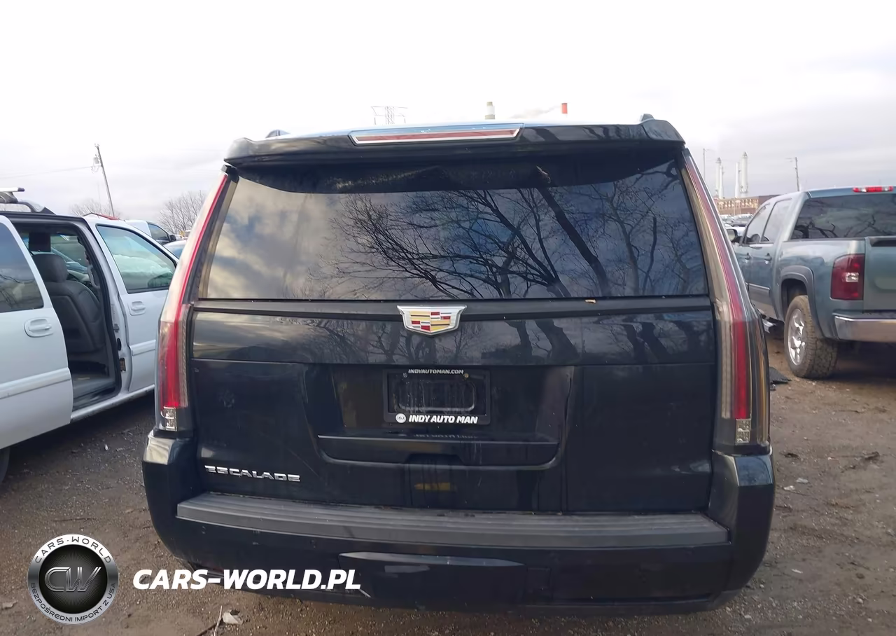 2016 Cadillac Escalade Luxury Collection VIN:1GYS4BKJ5GR107219 - 16
