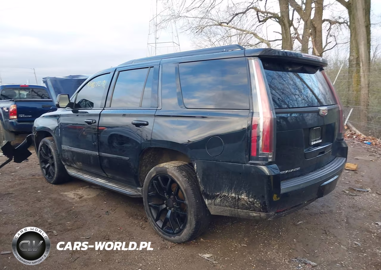 2016 Cadillac Escalade Luxury Collection VIN:1GYS4BKJ5GR107219 - 3