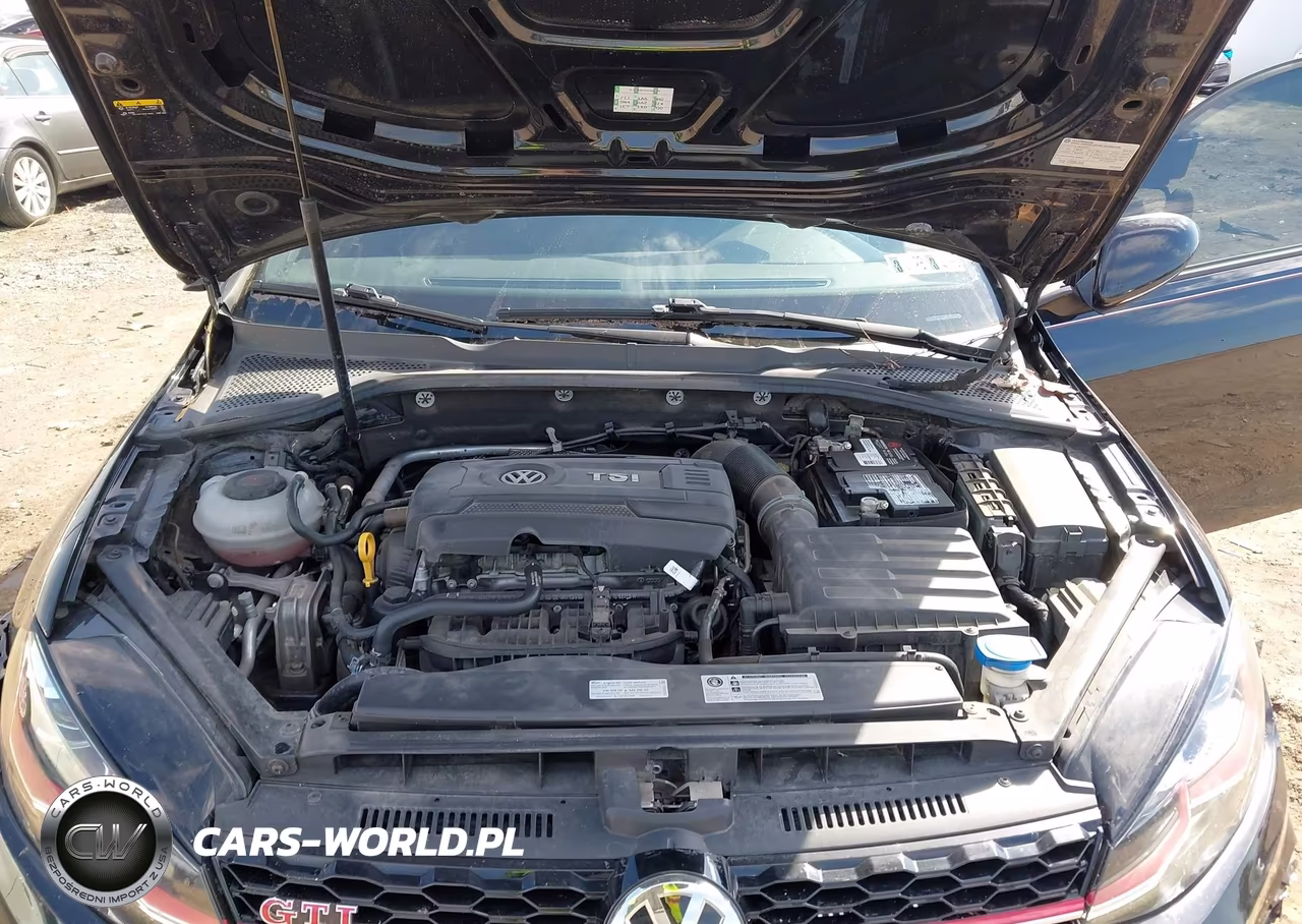 2019 Volkswagen Golf Gti 2.0T Autobahn-2.0T Rabbit Edition-2.0T S-2.0T Se VIN:3VW6T7AU4KM006683 - 10