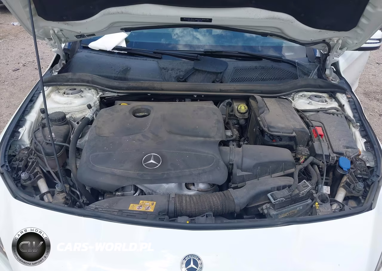 2018 Mercedes-Benz Cla 250 VIN:WDDSJ4EB3JN550763 - 10