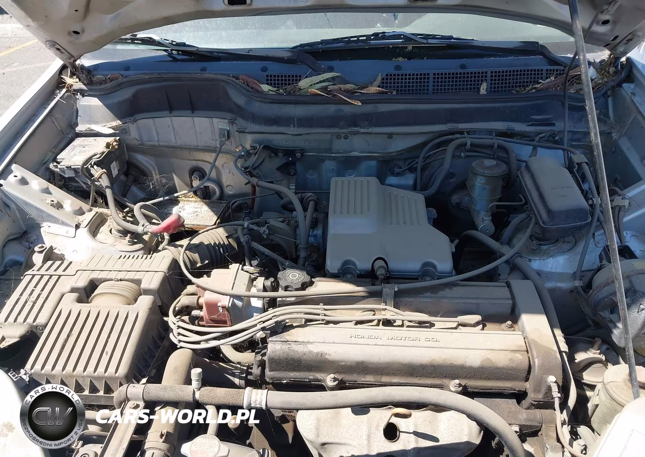 1999 Honda Cr-V Lx VIN:JHLRD2842XC023130 - 10