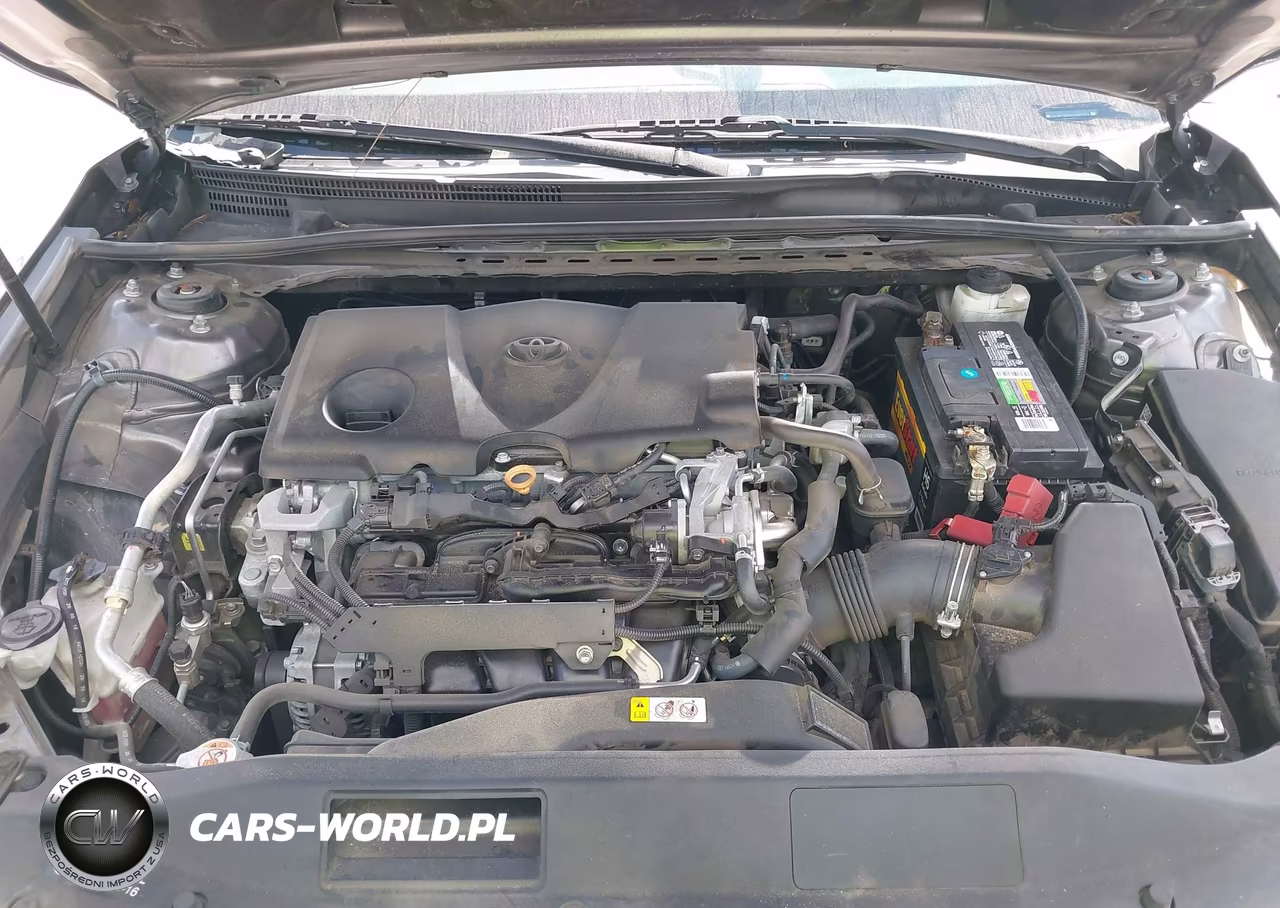 2019 Toyota Camry Se VIN:4T1B11HKXKU697203 - 10