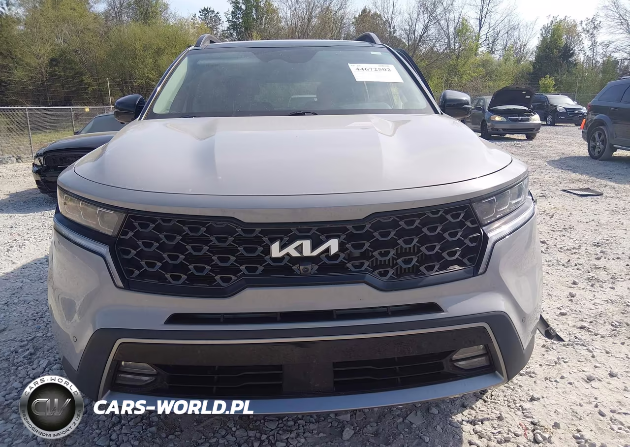 2023 Kia Sorento X-Line Sx Prestige VIN:5XYRKDLF9PG251922 - 12