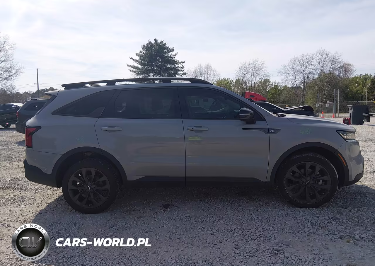 2023 Kia Sorento X-Line Sx Prestige VIN:5XYRKDLF9PG251922 - 13