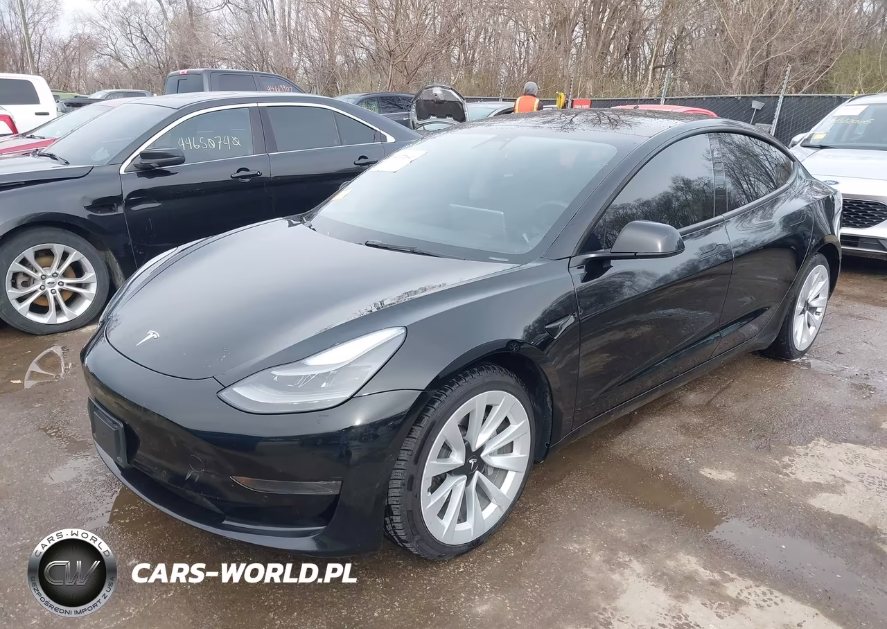 2022 Tesla Model 3 Rear-Wheel Drive VIN:5YJ3E1EA8NF142935 - 2