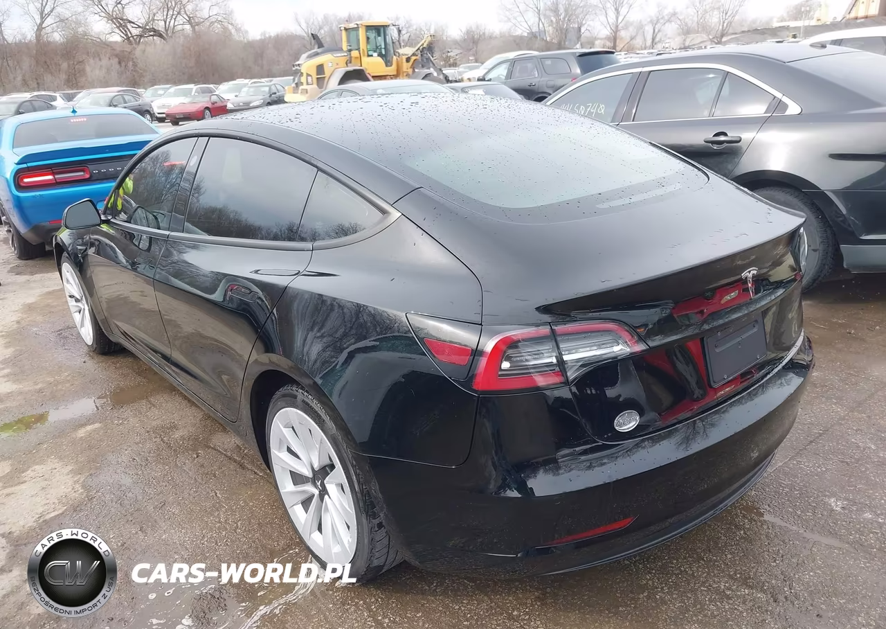 2022 Tesla Model 3 Rear-Wheel Drive VIN:5YJ3E1EA8NF142935 - 3