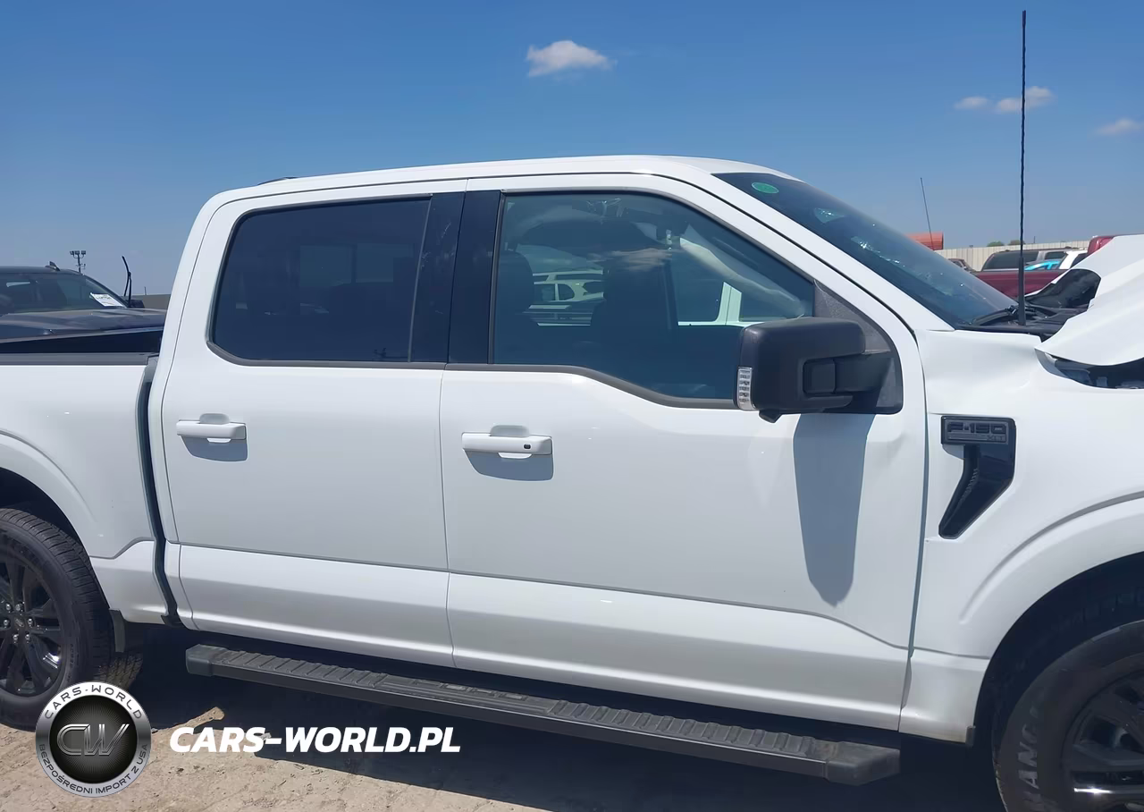 2025 Ford F-150 Xlt VIN:1FTEW3KP5SFB90684 - 12