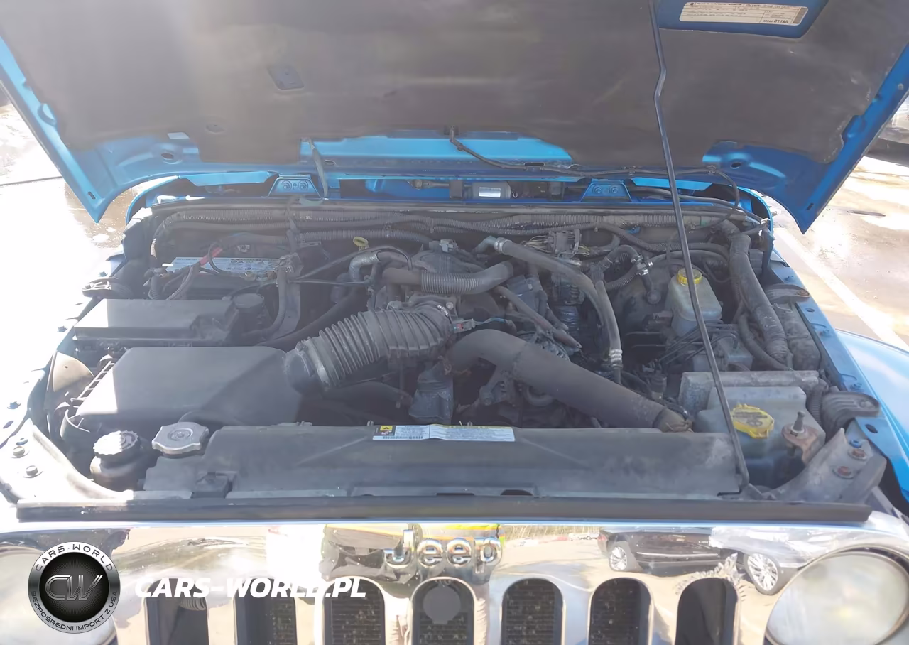 2010 Jeep Wrangler Unlimited Sahara VIN:1J4HA5H11AL166886 - 10