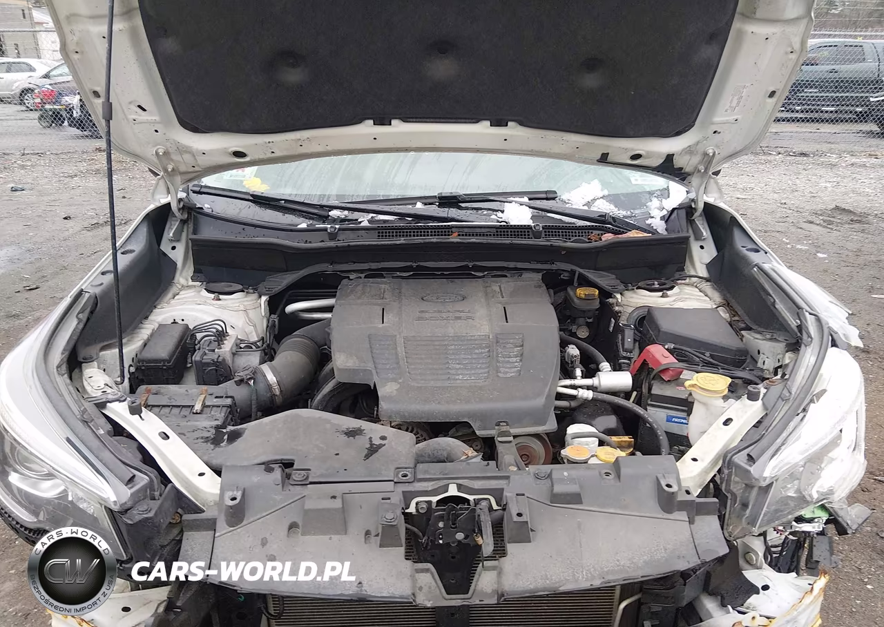 2019 Subaru Forester Limited VIN:JF2SKAUC4KH443853 - 10