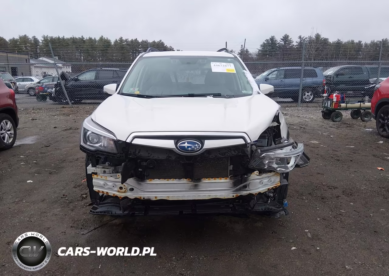 2019 Subaru Forester Limited VIN:JF2SKAUC4KH443853 - 13