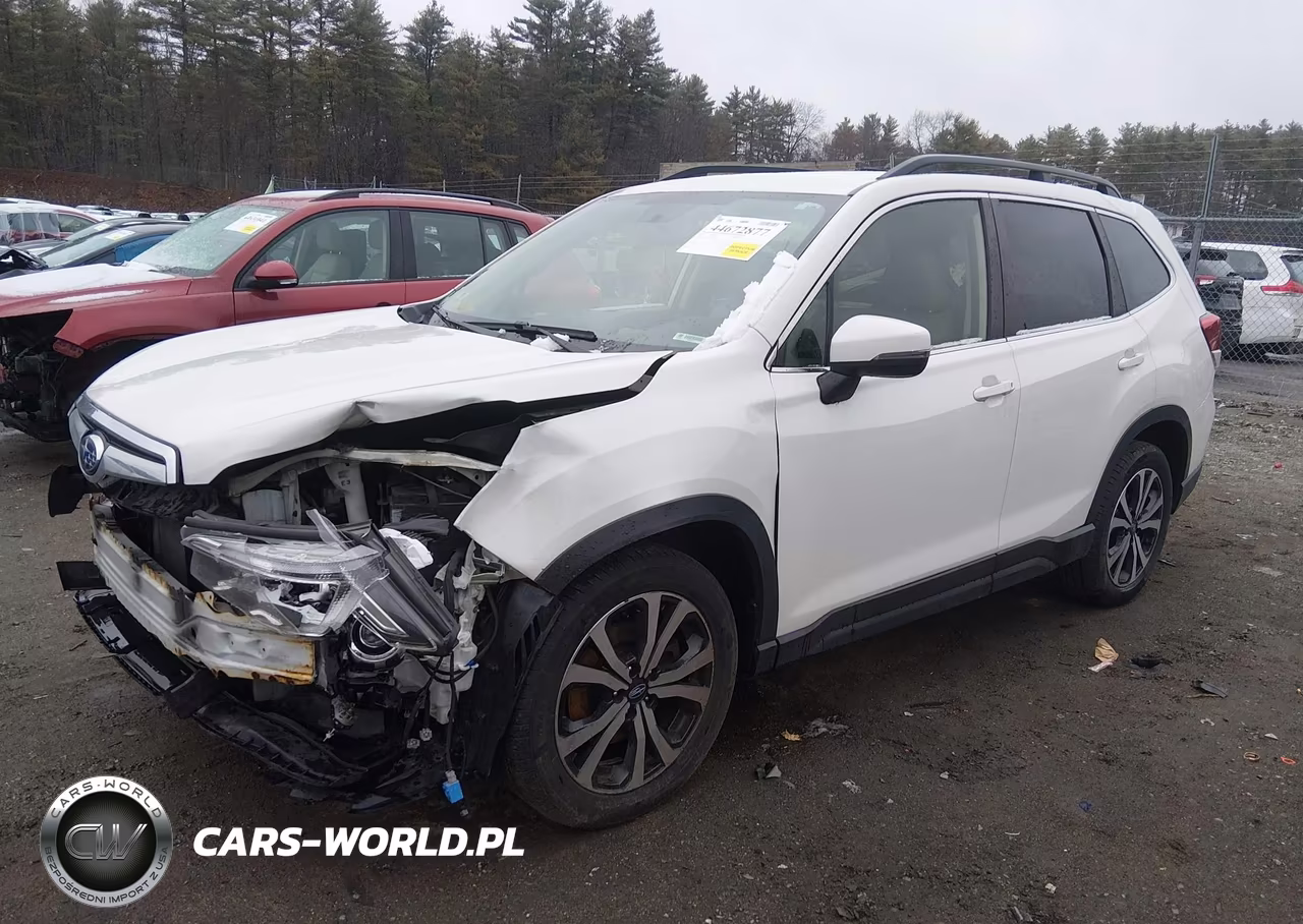 2019 Subaru Forester Limited VIN:JF2SKAUC4KH443853 - 2