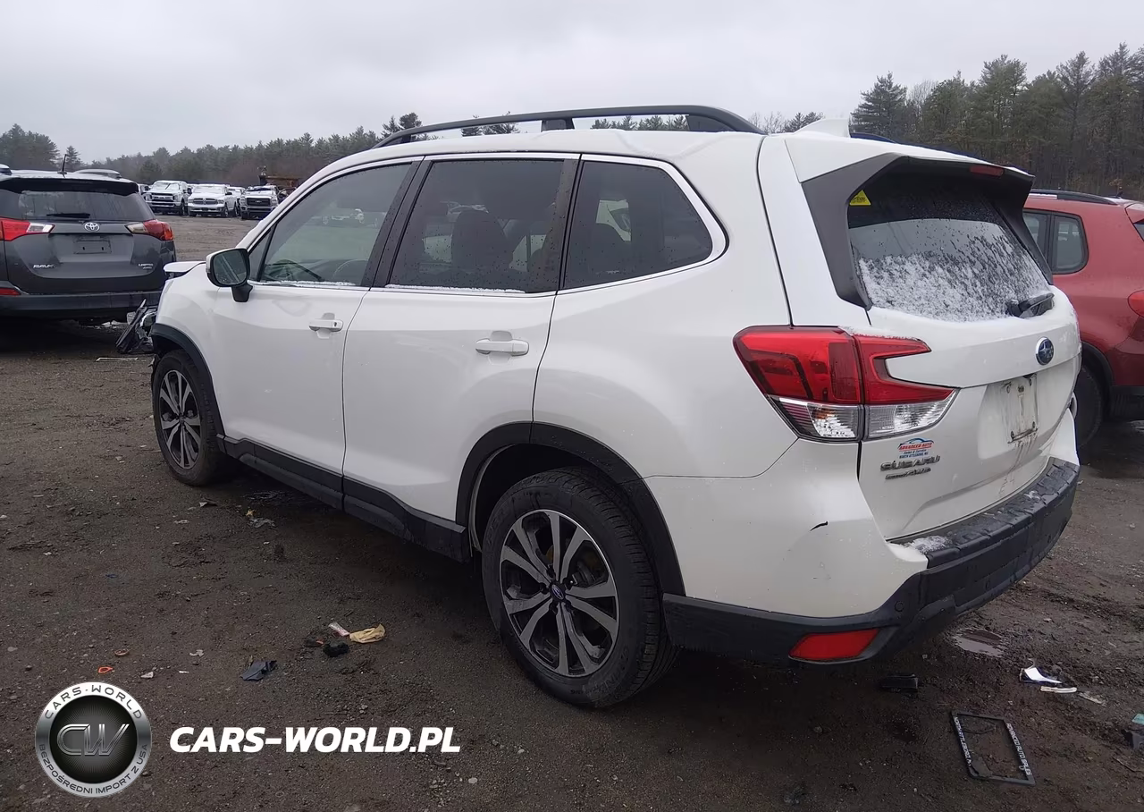 2019 Subaru Forester Limited VIN:JF2SKAUC4KH443853 - 3