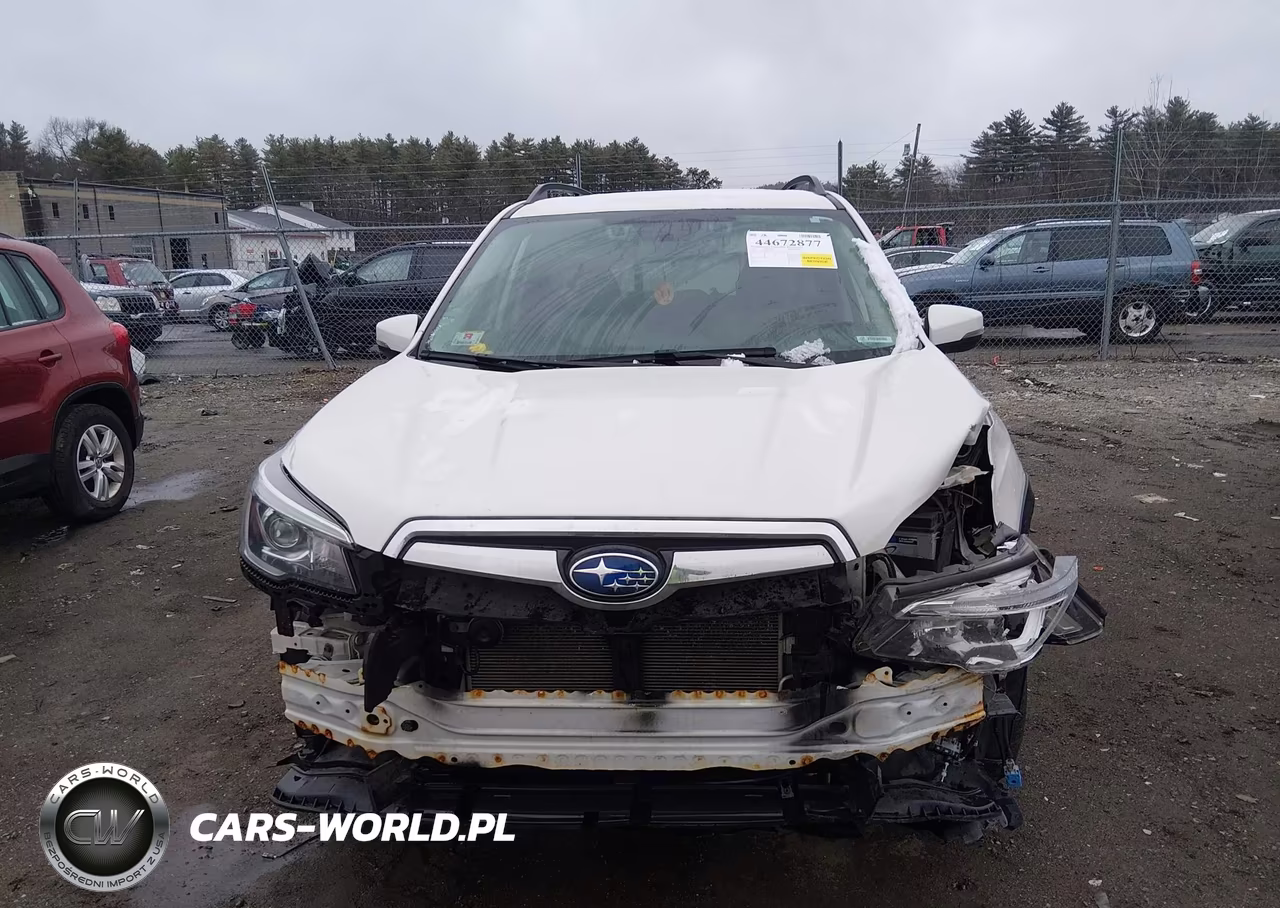 2019 Subaru Forester Limited VIN:JF2SKAUC4KH443853 - 6