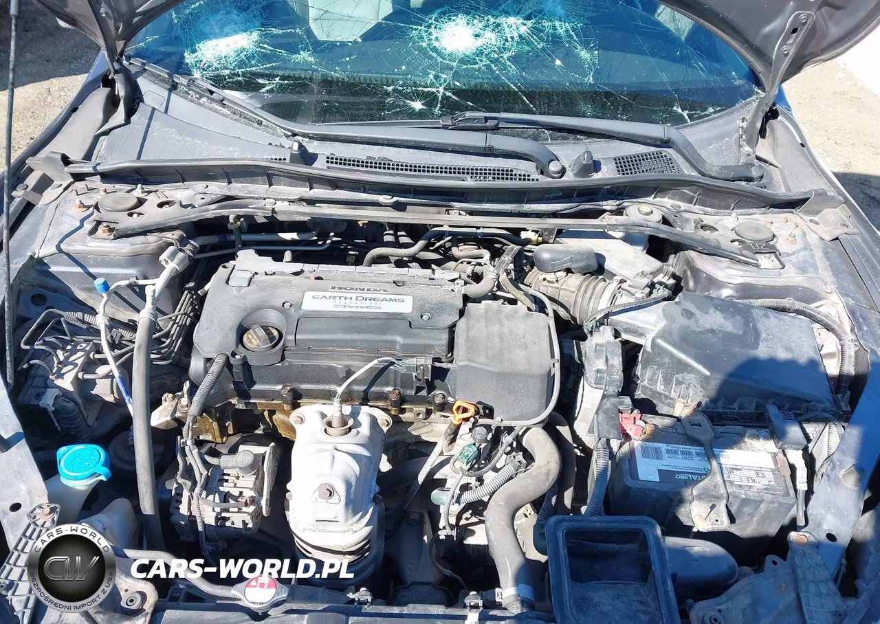 2014 Honda Accord Ex-L VIN:1HGCR2F80EA158515 - 10