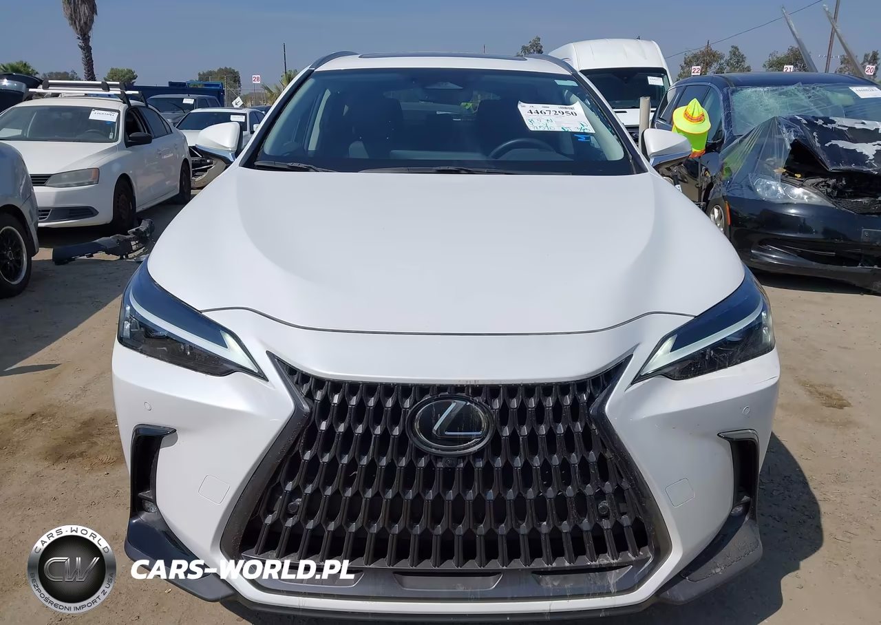 2025 Lexus Nx 350 Premium VIN:JTJGGCEZ4S5011508 - 13