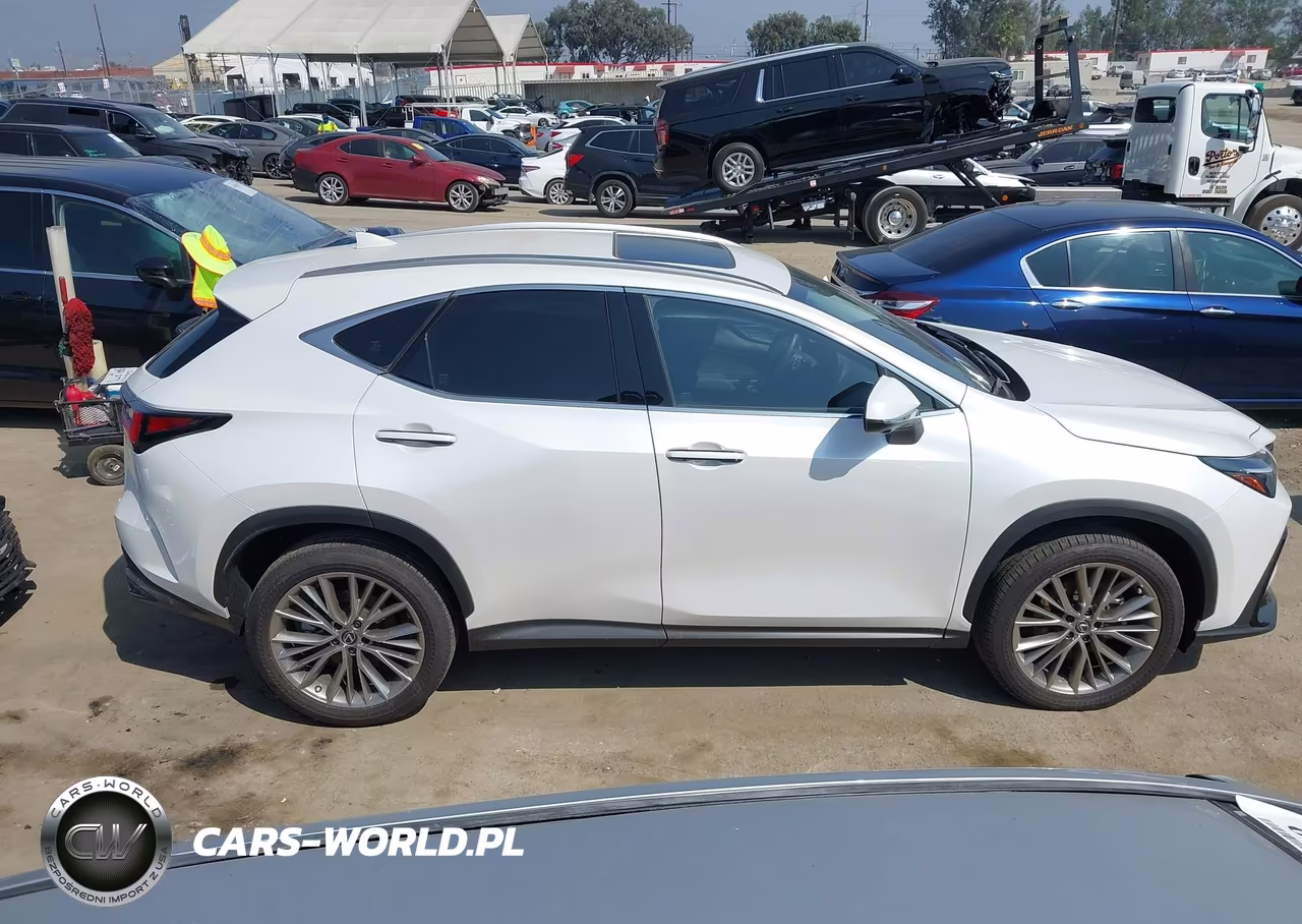 2025 Lexus Nx 350 Premium VIN:JTJGGCEZ4S5011508 - 14