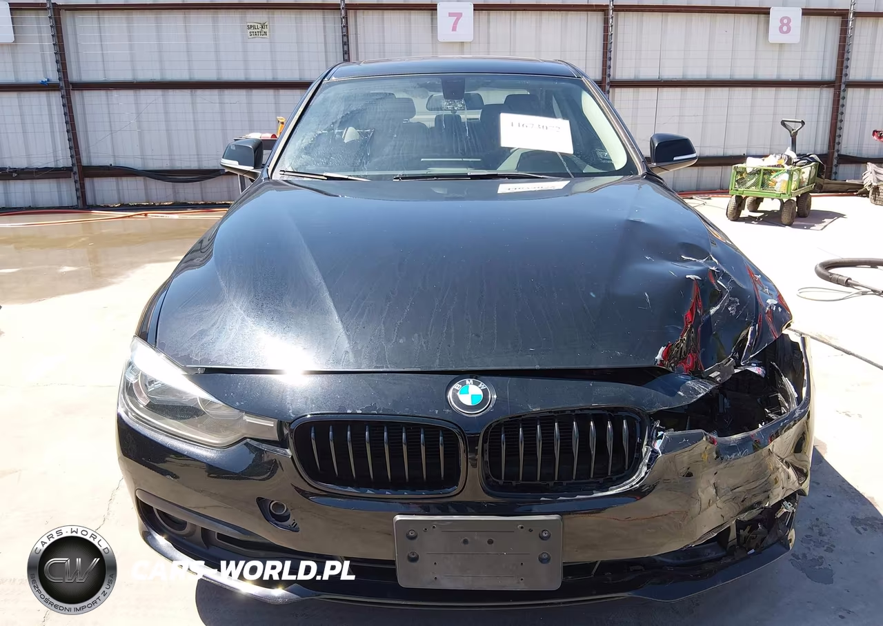 2016 BMW 320I VIN:WBA8A9C55GK618678 - 12