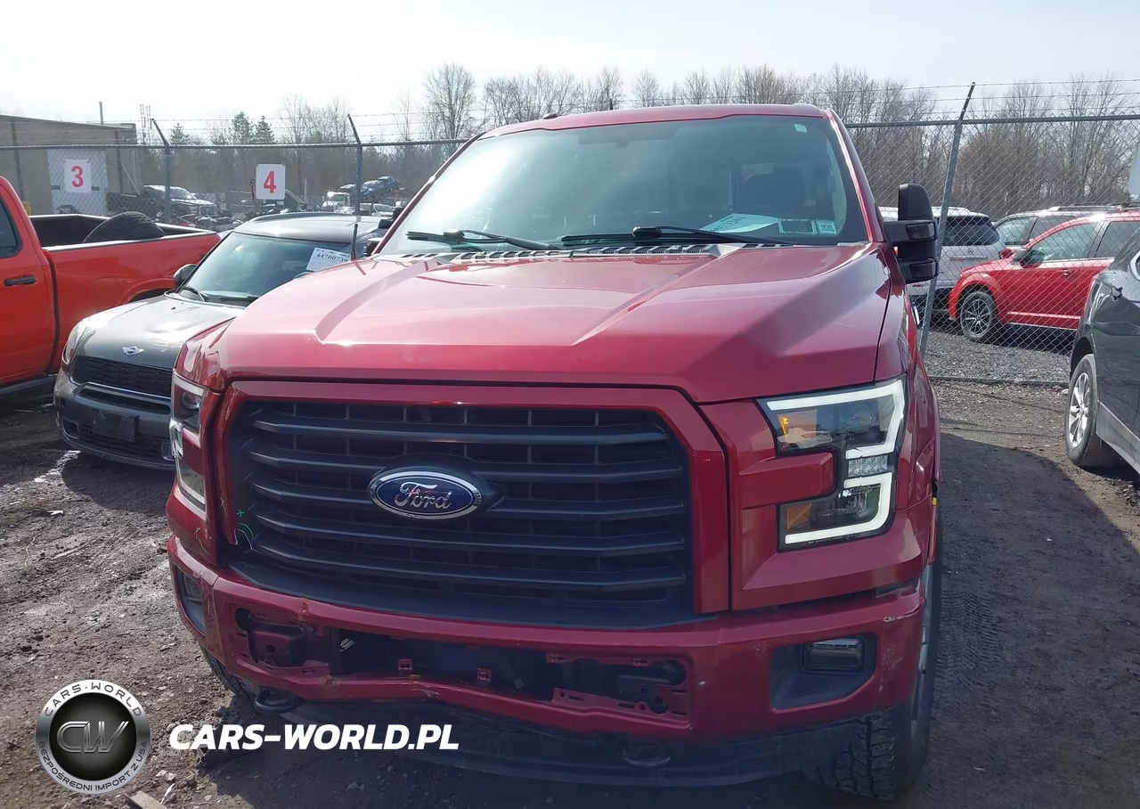 2015 Ford F-150 Xlt VIN:1FTFW1EF9FFA44404 - 13