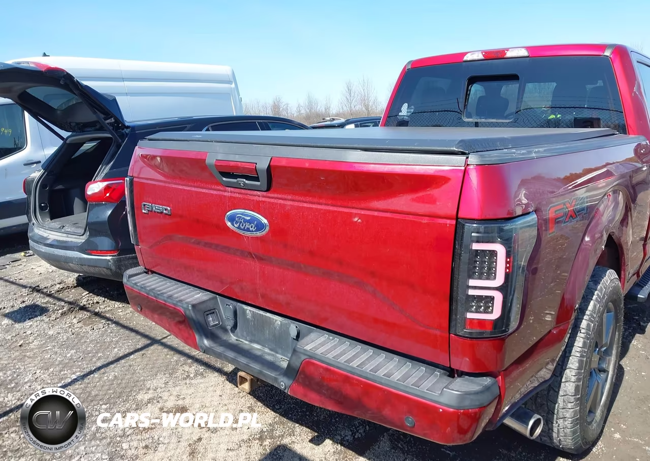 2015 Ford F-150 Xlt VIN:1FTFW1EF9FFA44404 - 17