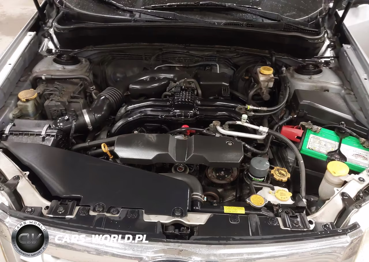 2011 Subaru Forester 2.5X Premium VIN:JF2SHADC6BH768406 - 10