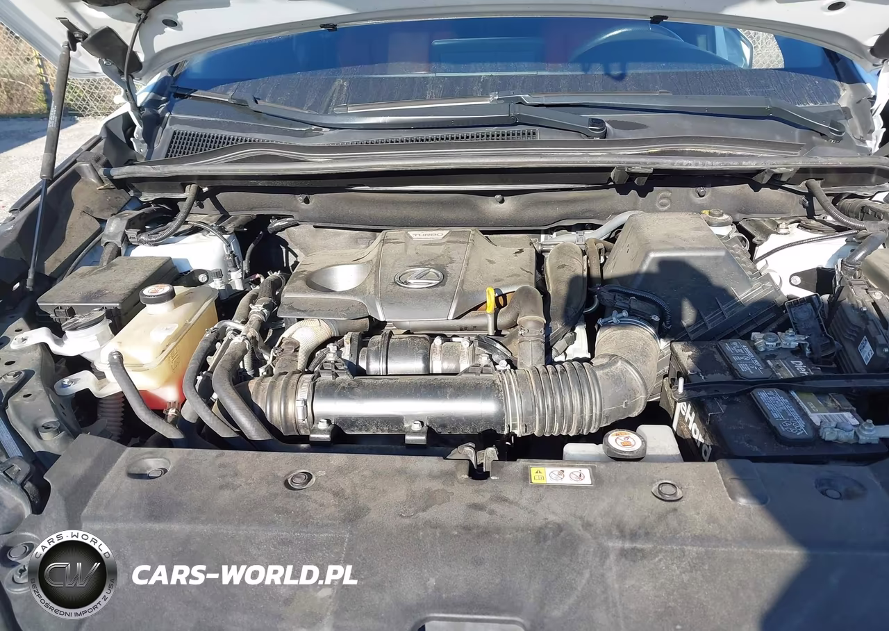 2021 Lexus Nx 300 F Sport VIN:JTJSARBZ6M2192506 - 10