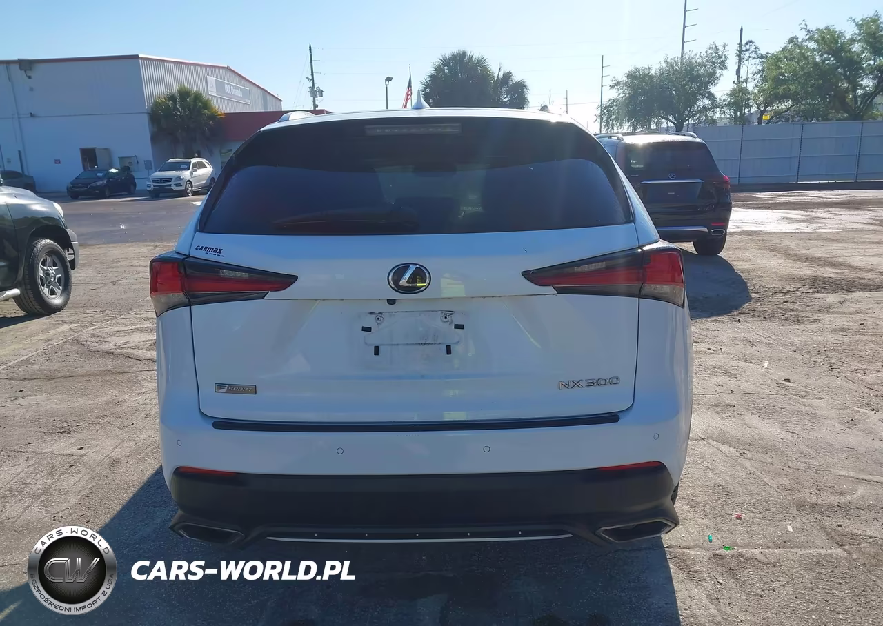 2021 Lexus Nx 300 F Sport VIN:JTJSARBZ6M2192506 - 16
