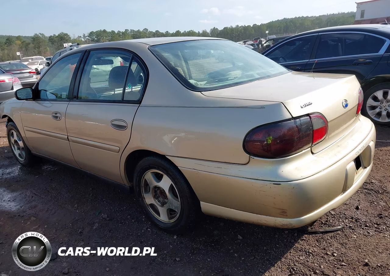 2005 Chevrolet Classic VIN:1G1ND52F85M134823 - 3