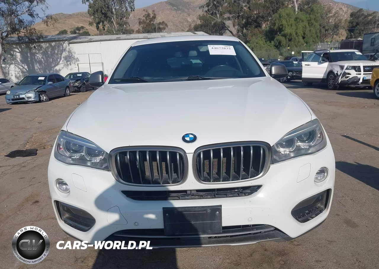 2016 BMW X6 Sdrive35I VIN:5UXKU0C50G0F93049 - 13