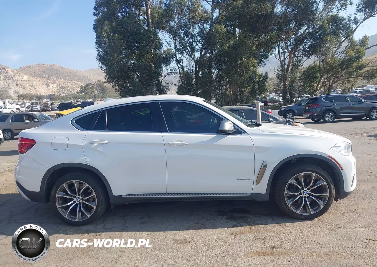 2016 BMW X6 Sdrive35I VIN:5UXKU0C50G0F93049 - 14