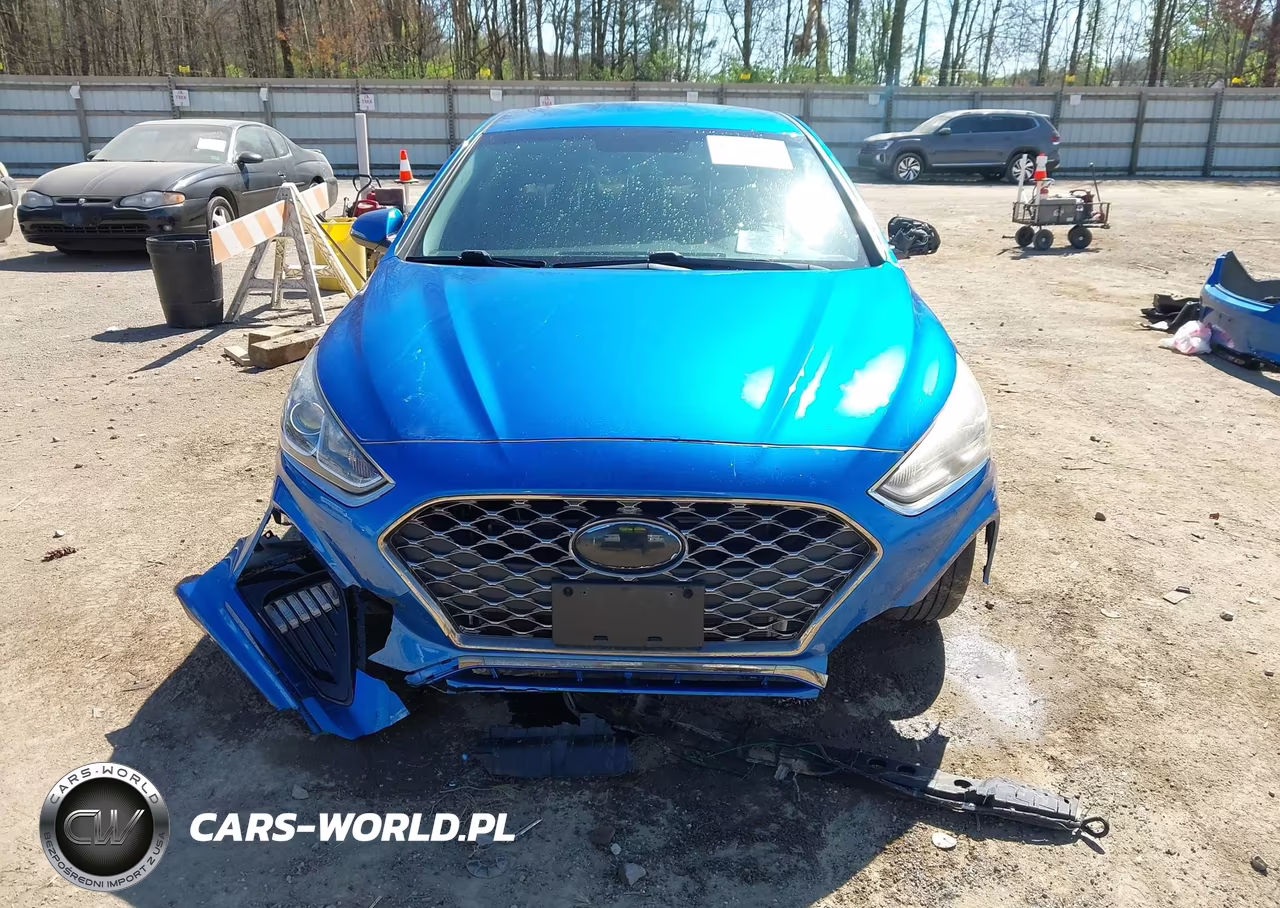 2019 Hyundai Sonata Sel VIN:5NPE34AF3KH778080 - 13