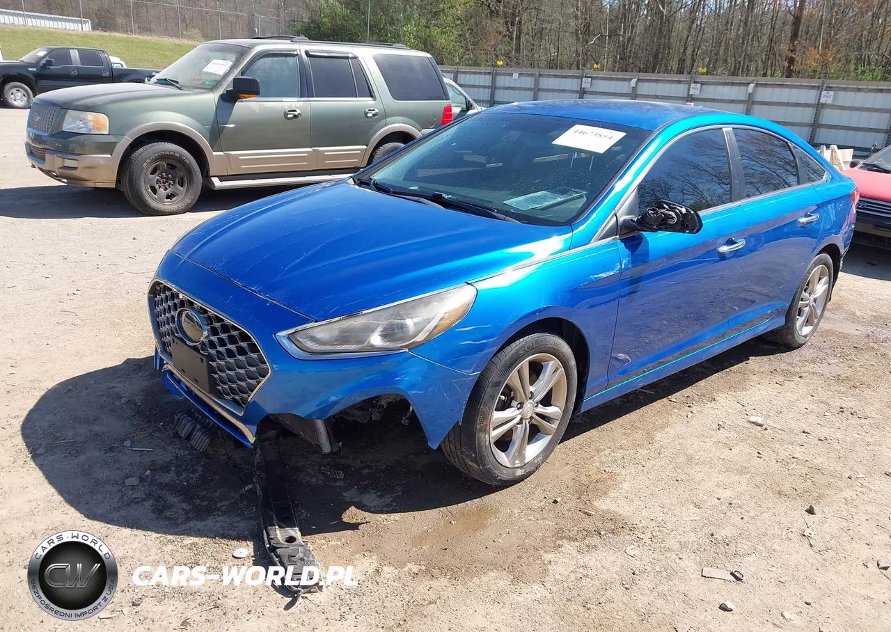 2019 Hyundai Sonata Sel VIN:5NPE34AF3KH778080 - 2