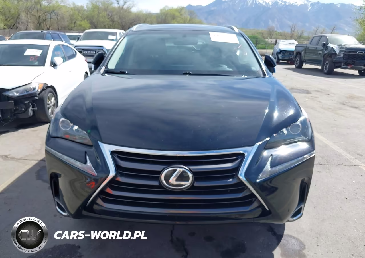 2016 Lexus Nx 200T VIN:JTJBARBZ4G2091033 - 13