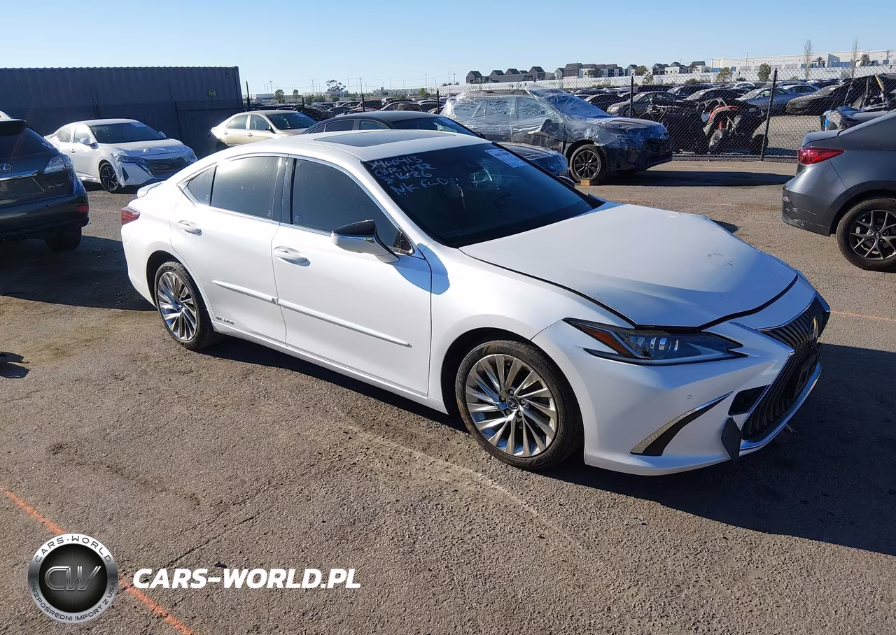 2019 Lexus Es 300H Luxury