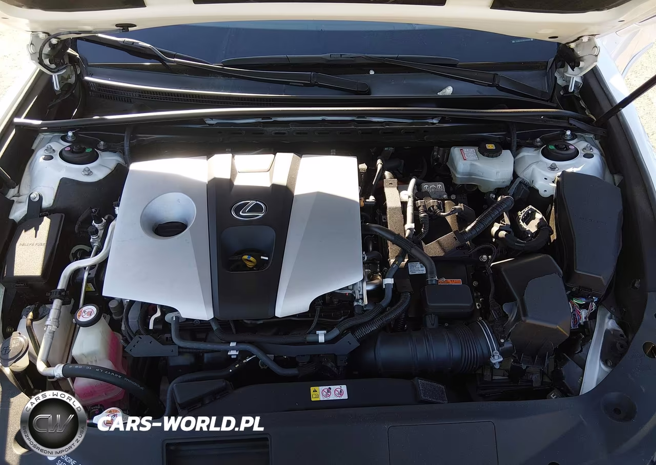 2019 Lexus Es 300H Luxury VIN:JTHB21B14K2038299 - 10