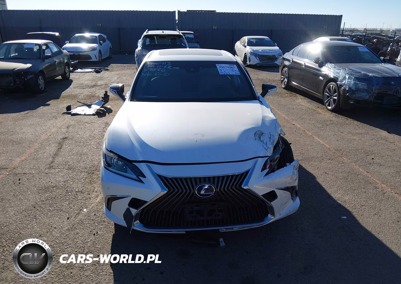 2019 Lexus Es 300H Luxury VIN:JTHB21B14K2038299 - 13