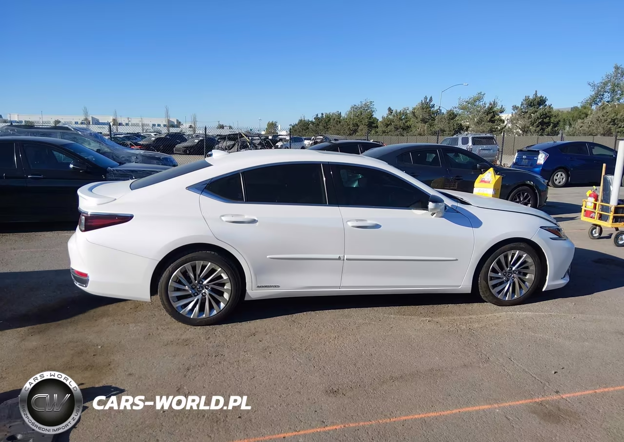2019 Lexus Es 300H Luxury VIN:JTHB21B14K2038299 - 14