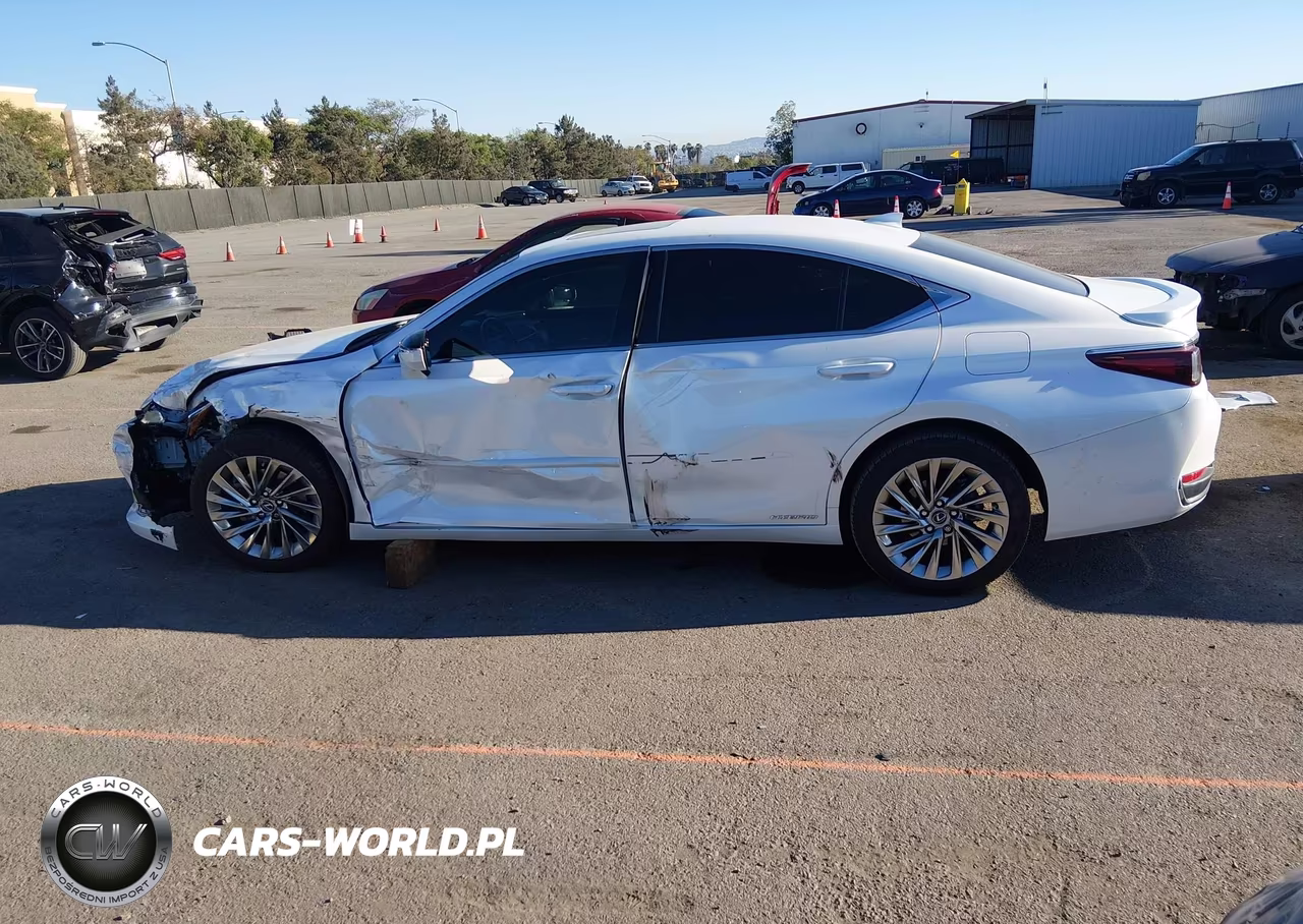 2019 Lexus Es 300H Luxury VIN:JTHB21B14K2038299 - 15
