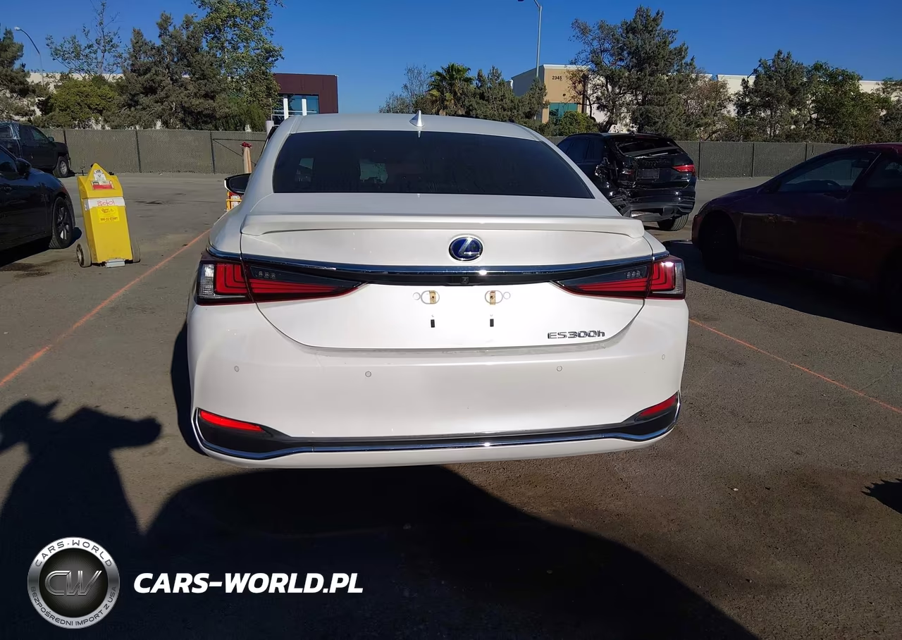 2019 Lexus Es 300H Luxury VIN:JTHB21B14K2038299 - 17