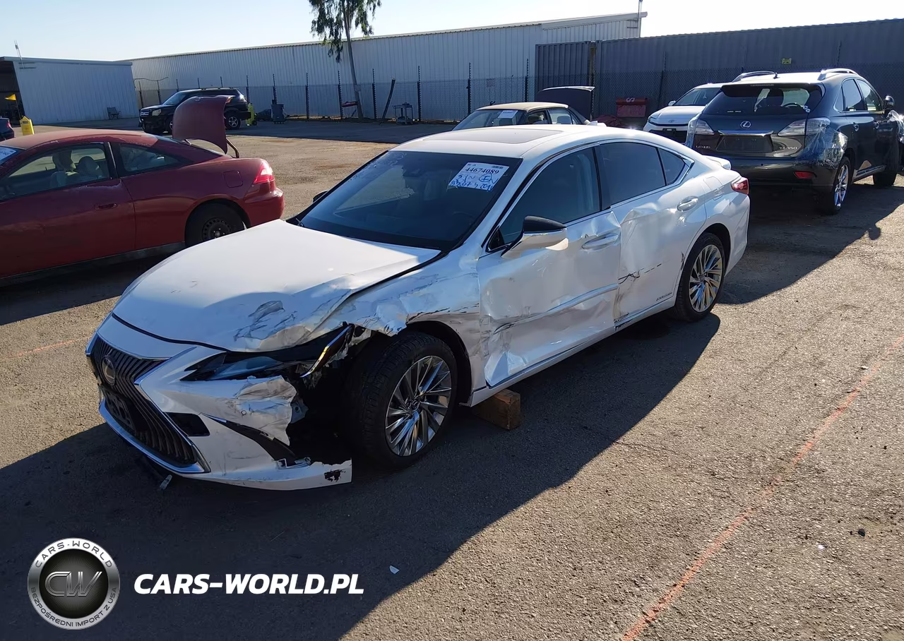 2019 Lexus Es 300H Luxury VIN:JTHB21B14K2038299 - 2