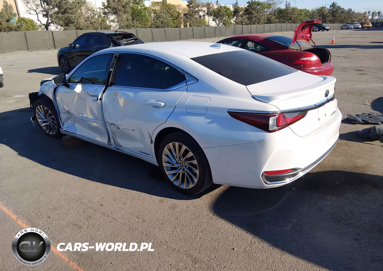 2019 Lexus Es 300H Luxury VIN:JTHB21B14K2038299 - 3