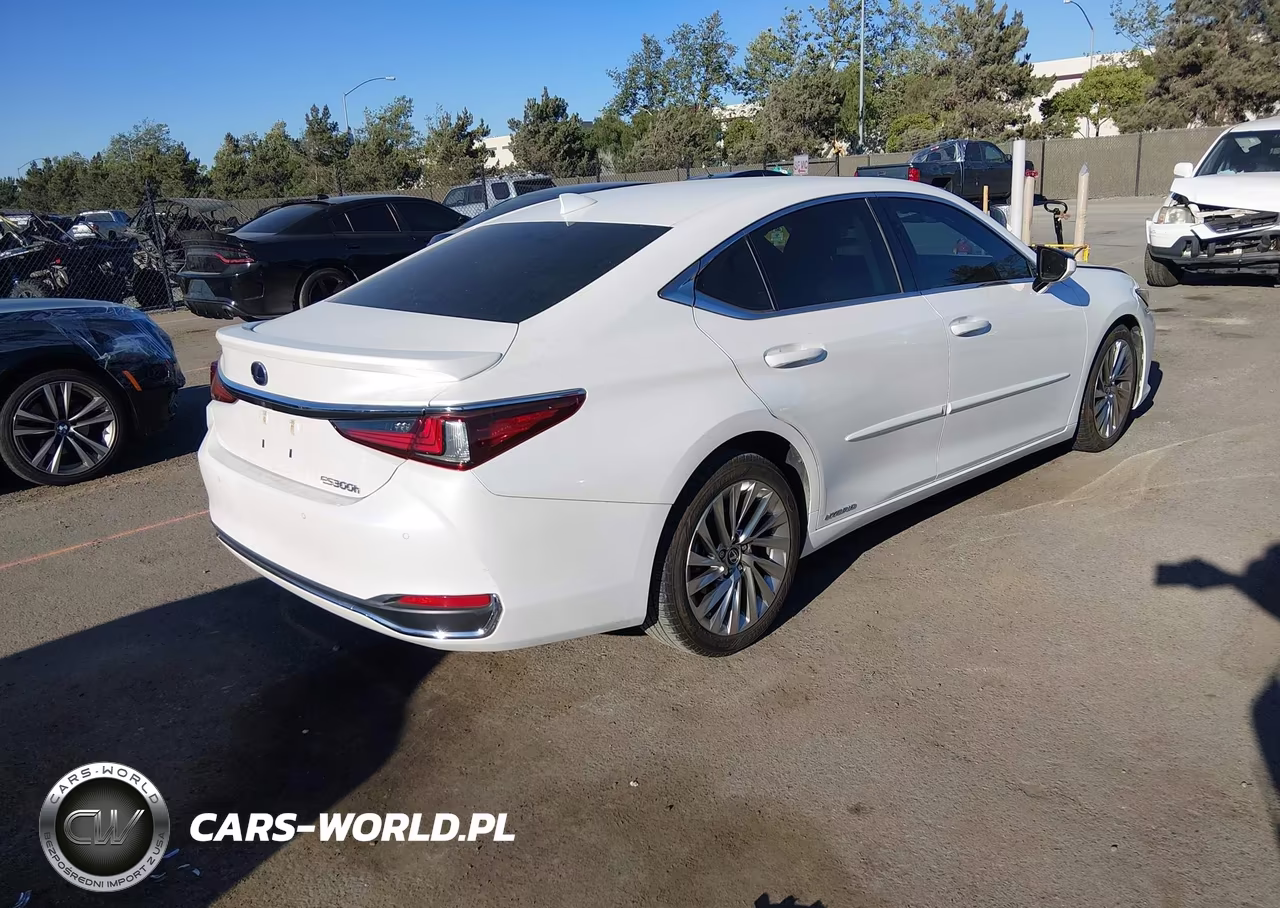 2019 Lexus Es 300H Luxury VIN:JTHB21B14K2038299 - 4