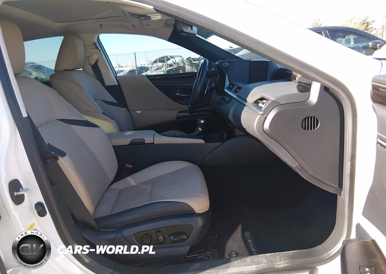 2019 Lexus Es 300H Luxury VIN:JTHB21B14K2038299 - 5