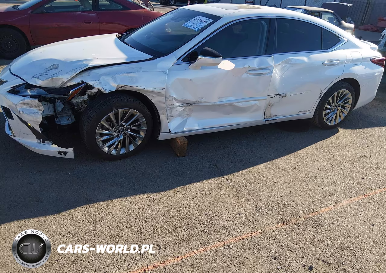 2019 Lexus Es 300H Luxury VIN:JTHB21B14K2038299 - 6