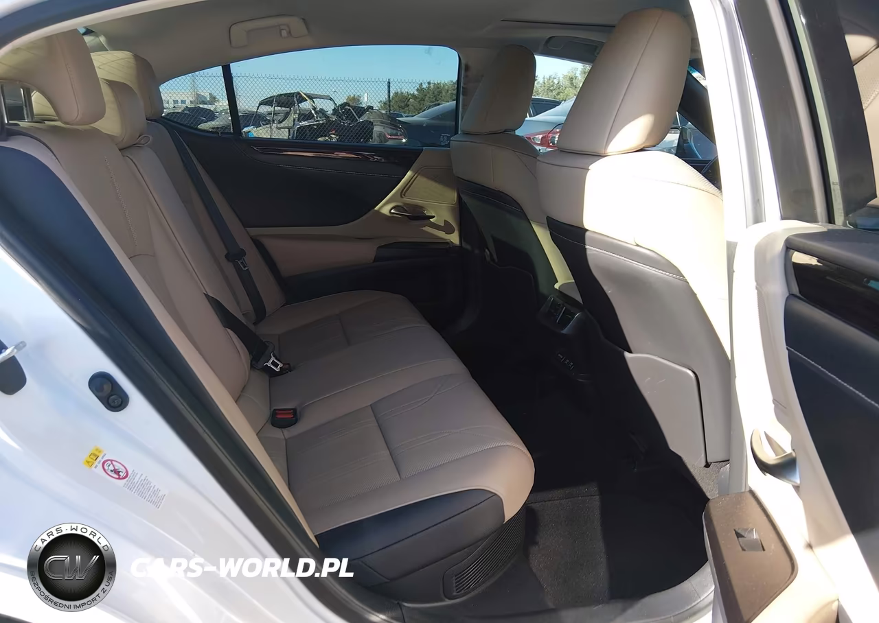 2019 Lexus Es 300H Luxury VIN:JTHB21B14K2038299 - 8